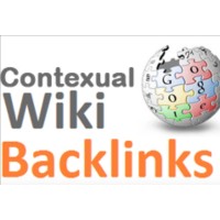 3000+ High Quality Wiki Articles Contextual SEO Backlinks